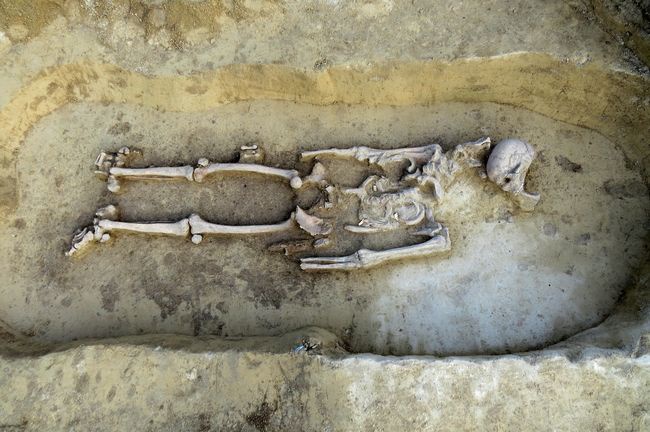 Archeologiczne odkrycia w Sandomierzu