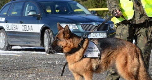 Są odmowy wjazdu do Polski