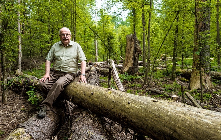 Na razie martwe świerki pozostają w Puszczy Białowieskiej. Z tego powodu kilka szlaków turystycznych trzeba było zamknąć, bo uschłe drzewa mogłyby zwalić się na ludzi – mówi nadleśniczy Grzegorz Bielecki.