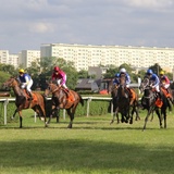 Wyścigi konne 2016