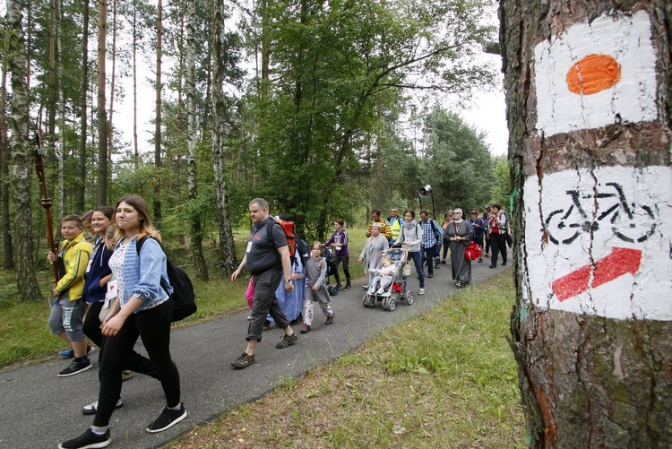 Pielgrzymka "Światła w familoku"