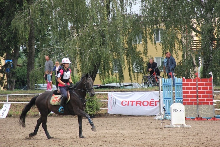 Zawody jeździeckie w Walewicach