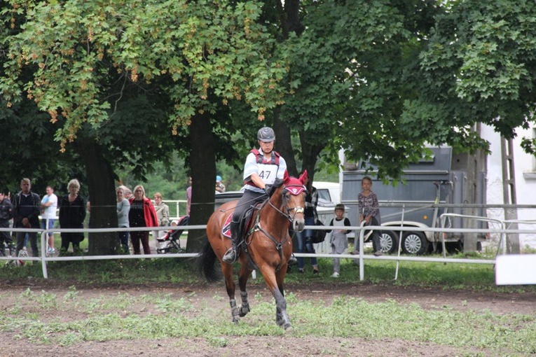 Zawody jeździeckie w Walewicach