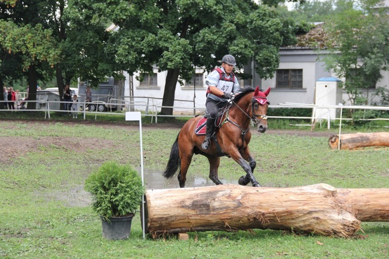 Zawody jeździeckie w Walewicach