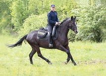 Koń Smyczek i jego opiekun sierżant Przemysław Wiza.