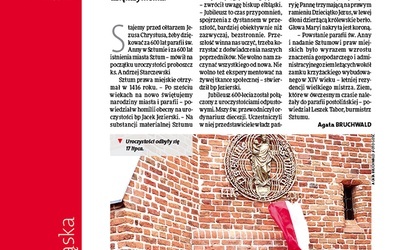 Elbląski 30/2016