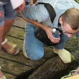 Pielgrzymi przy Królewskich Źródłach