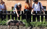 Pielgrzymi ŚDM ze Słupska zwiedzają skansen w Swołowie