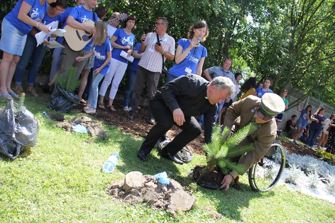 Hiszpanie posadzili drzewka