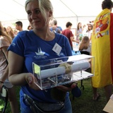 Hiszpanie posadzili drzewka