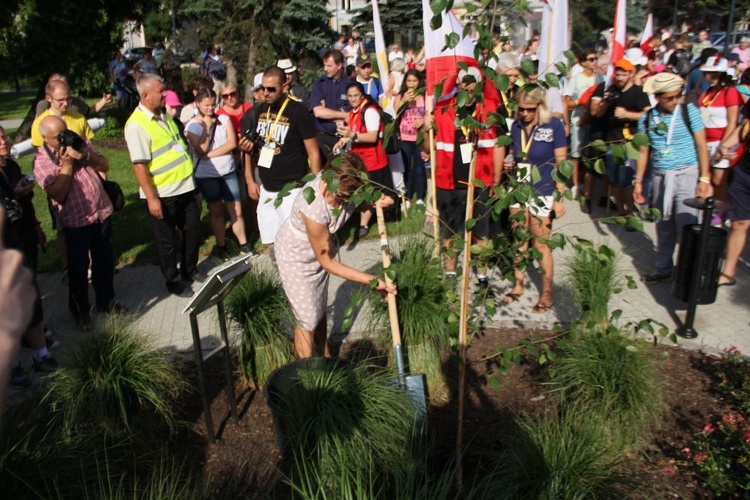 Drzewko ŚDM posadzone w Kędzierzynie