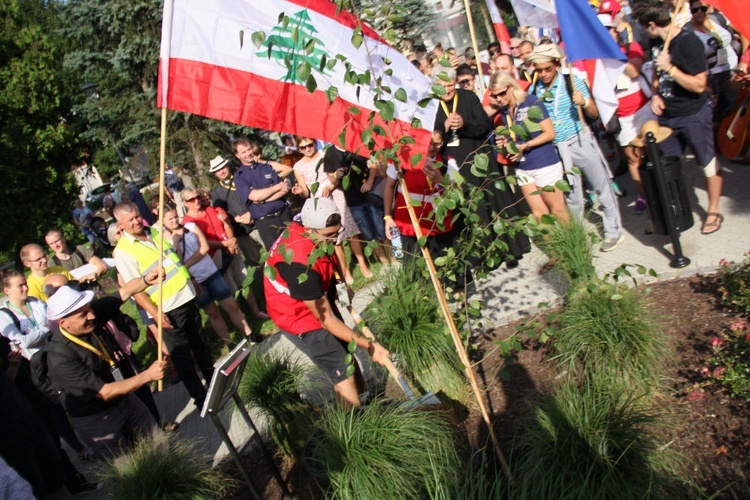 Drzewko ŚDM posadzone w Kędzierzynie