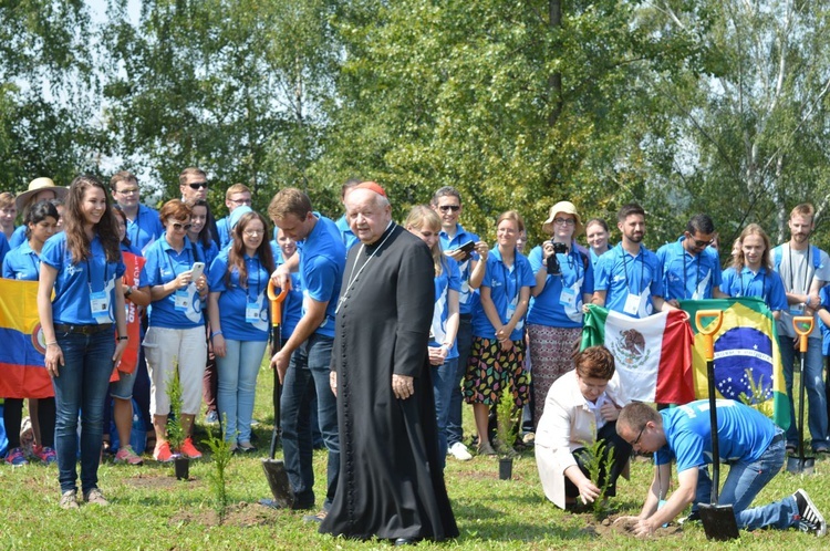 Park Miłosierdzia na Białych Morzach