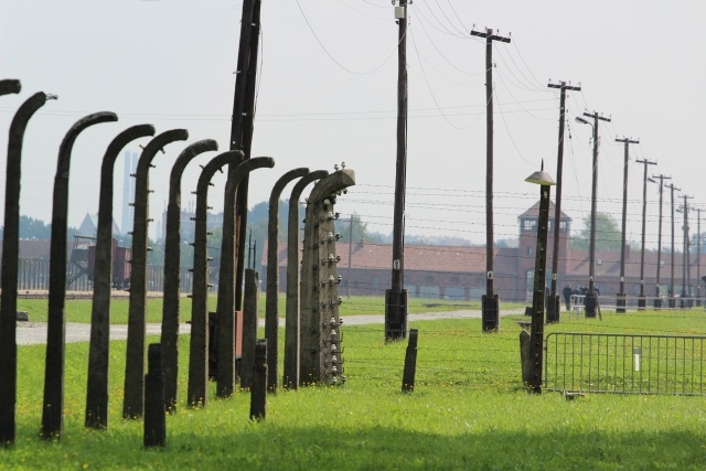 Wizyta papieża Franciszka w Birkenau