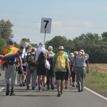 71. Pielgrzymka Rybnicka - dzień drugi (Czekanów - Górniki; grupy 5 i 7).