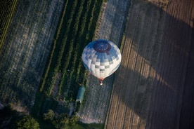 Balonowe fantastyczności