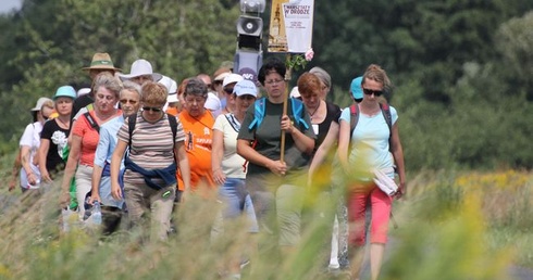 Nauczyciele na dobrej drodze