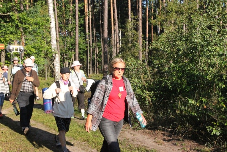 Do lasu za Dąbrową