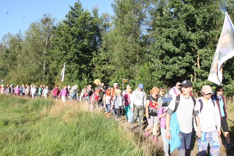 Do lasu za Dąbrową