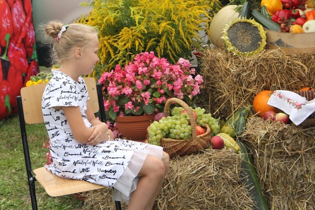 Z dożynkowymi wieńcami