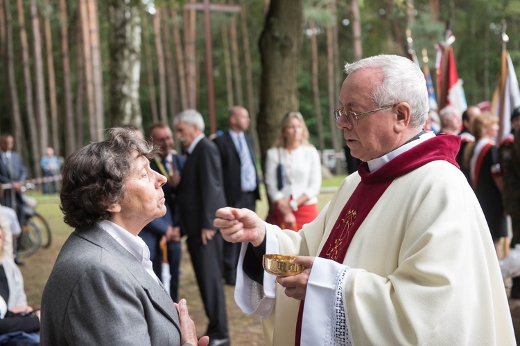 Rocznica zwycięskiej batalii