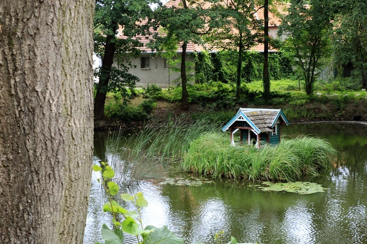 Spacer po Bagnie u salwatorianów