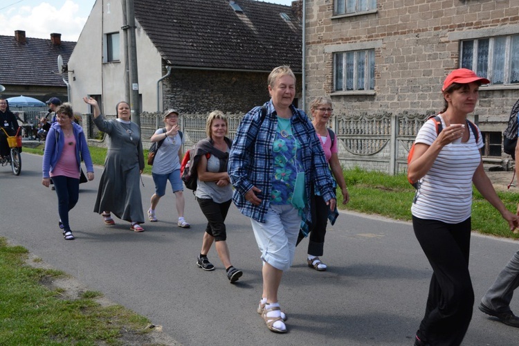 Strumień raciborski w Centawie