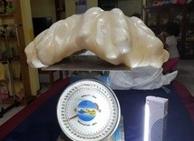 Największa perła świata waży 34 kg