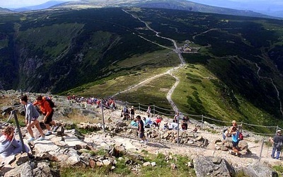 Jaki chcesz mieć park?