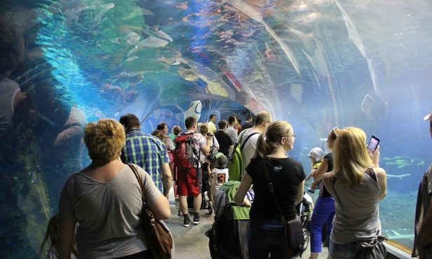 Rekordowe zoo