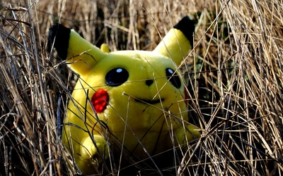 Pierwsza śmiertelna ofiara polowania na Pokemony