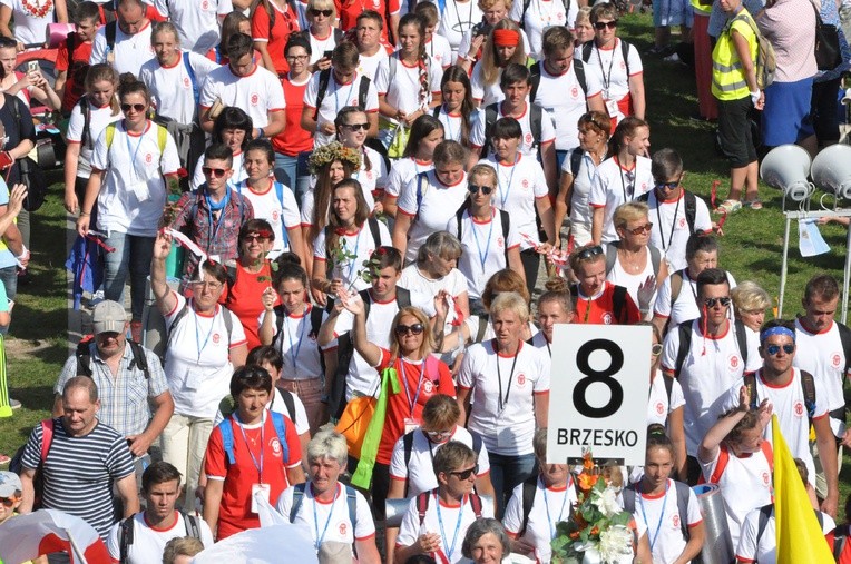 Grupa 8