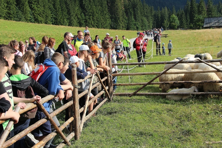 Wakacje w widokiem na Giewont