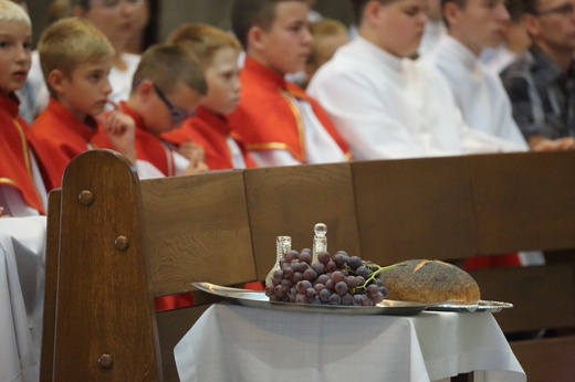 Powakacyjna pielgrzymka ministrantów archidiecezji katowickiej (27 sierpnia 2016).