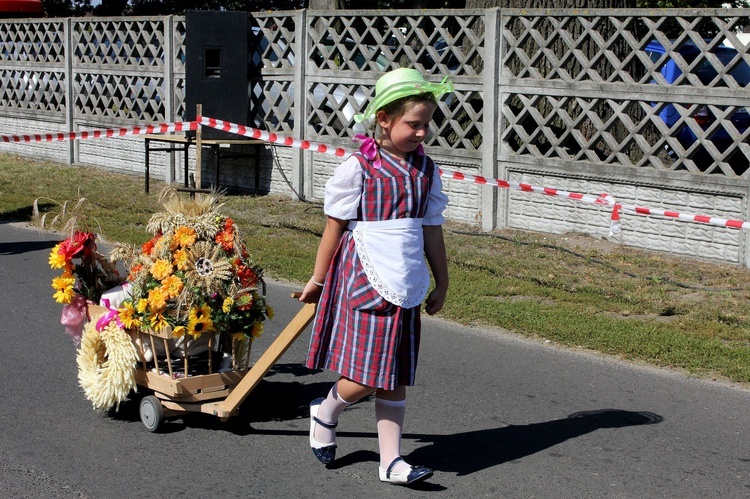 Dożynki Powiatu Gliwickiego, cz. 2