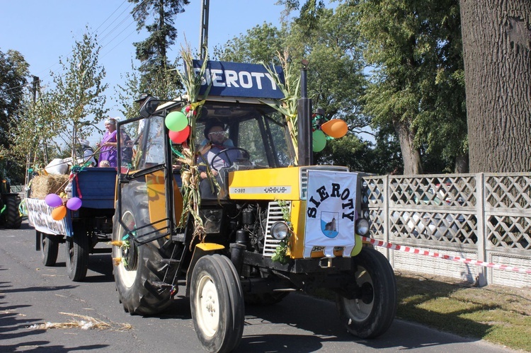 Dożynki Powiatu Gliwickiego cz. 3