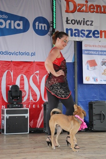 XIV Festyn Rodzinny w Bąkowie Górnym