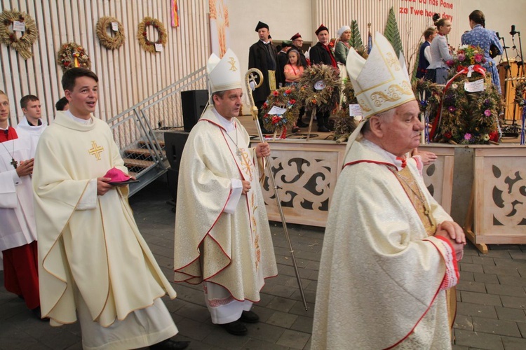 Dożynki w Żywcu AD 2016