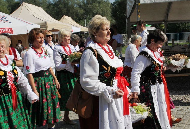 Dożynki w Żywcu AD 2016