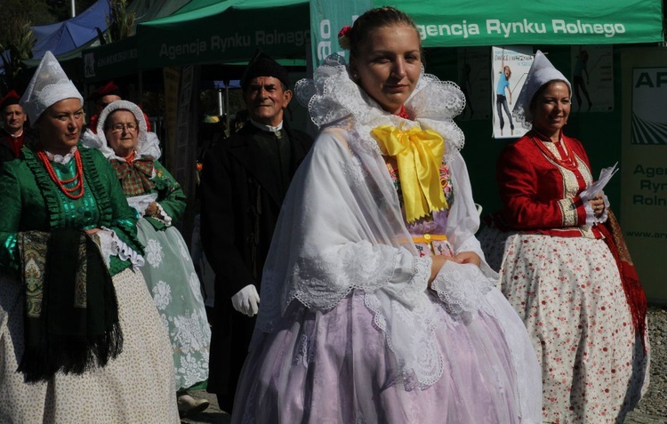 Dożynki w Żywcu AD 2016