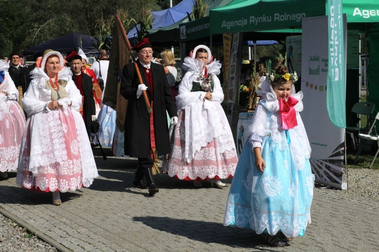 Dożynki w Żywcu AD 2016