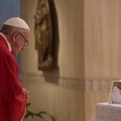 Franciszek: Świat ma Matkę, która nas broni