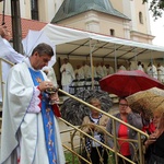 9. Diecezjalna Pielgrzymka Rodzin w Kalwarii Zebrzydowskiej - 2016