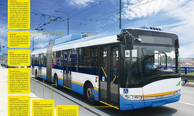 Autobus na smyczy