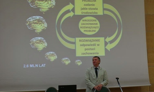 Mózgi, kamienie i klawiatura