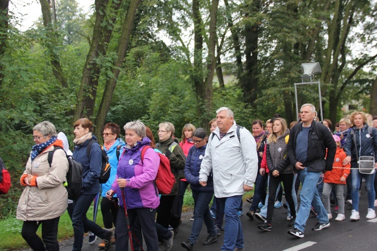 XVII Piesza Pielgrzymka Katechetów i Nauczycieli