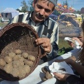 Ziemniaki od św. Tekli  