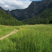 Ludzkie szczątki w jednej z tatrzańskich dolin