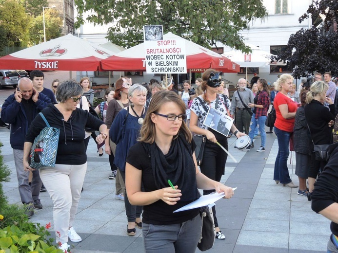 Koci konflikt w Bielsku-Białej