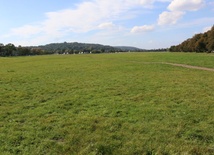 Błonia będą jak nowe